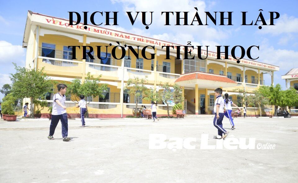 DỊCH VỤ THÀNH LẬP TRƯỜNG TIỂU HỌC